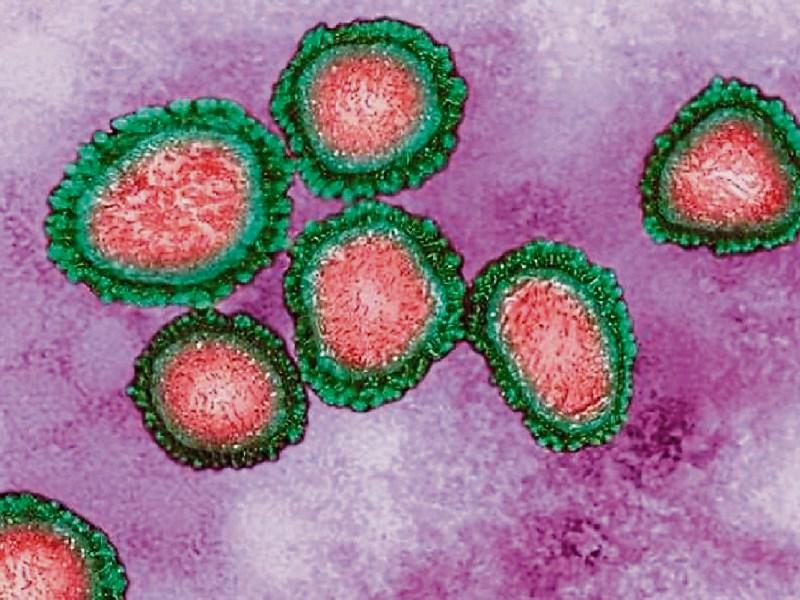 Over 5,000 confirmed Covid-19 PCR cases in region in last fortnight