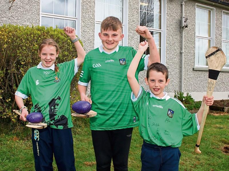 No stroll in &lsquo;The Park&rsquo; for Limerick hurlers&nbsp;as title defence kicks off on Leeside