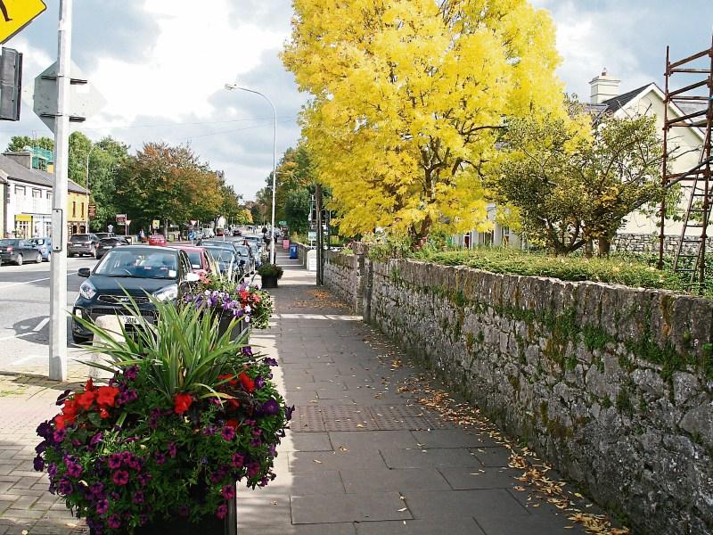 Website promoting popular Limerick village marks two decades in business