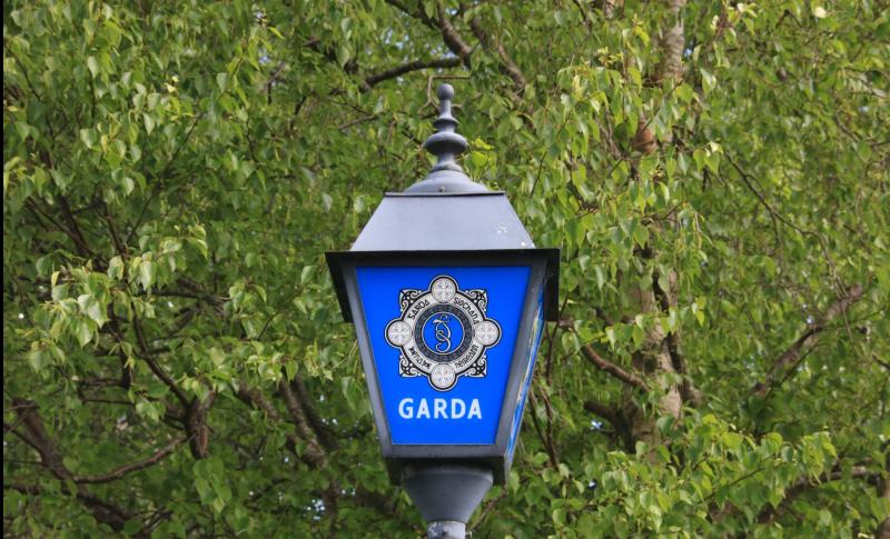 BREAKING: Gardai detail how Limerick pensioner took on masked burglars, one armed with slash hook