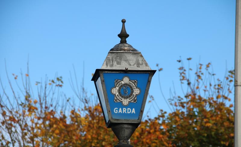 Young man 'running wild' fell asleep during questioning at Limerick Garda Station 