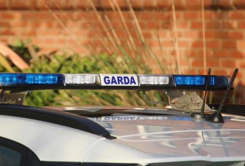 Two men hospitalised following assault by group of men