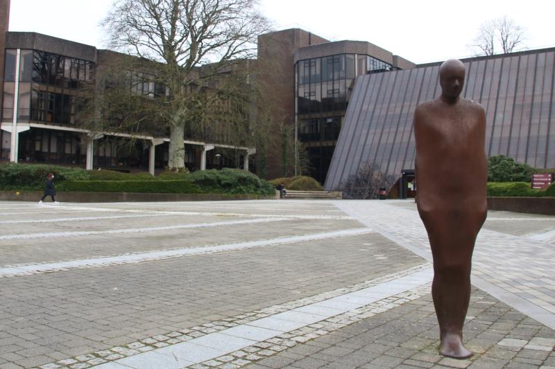 University of Limerick secures top honours at national Education Awards