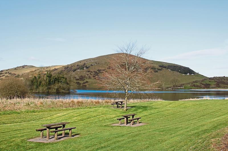 Three Limerick parks achieve national success Limerick Live