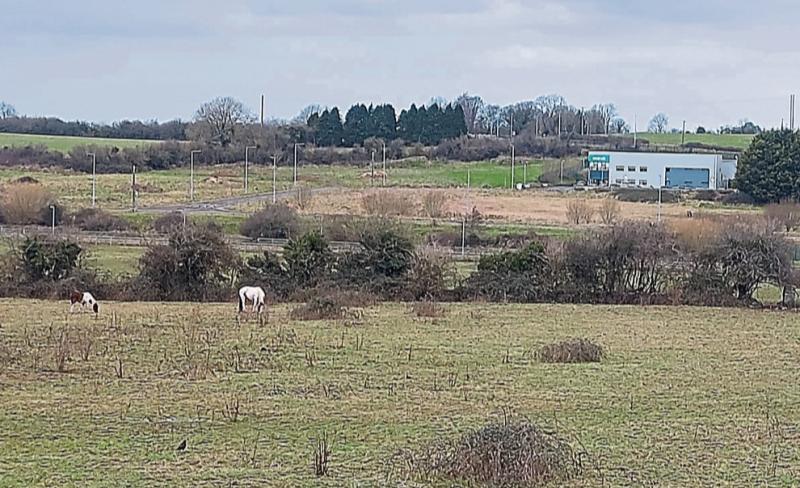 Developer gets permission to build 28 new homes in Limerick