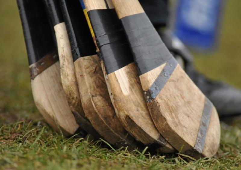 Harty Cup round-up