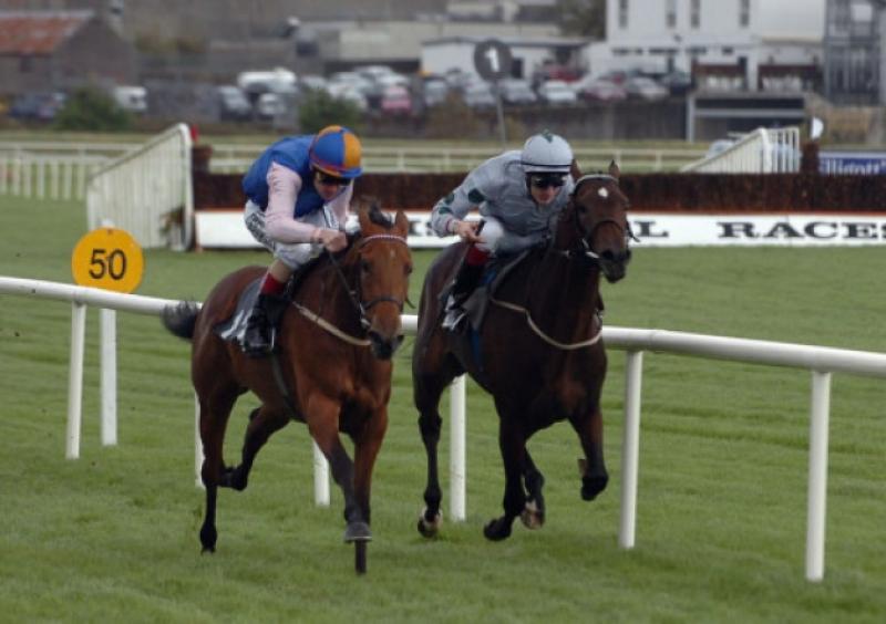 THE PUNTER'S EYE: Three horses worth backing this weekend 