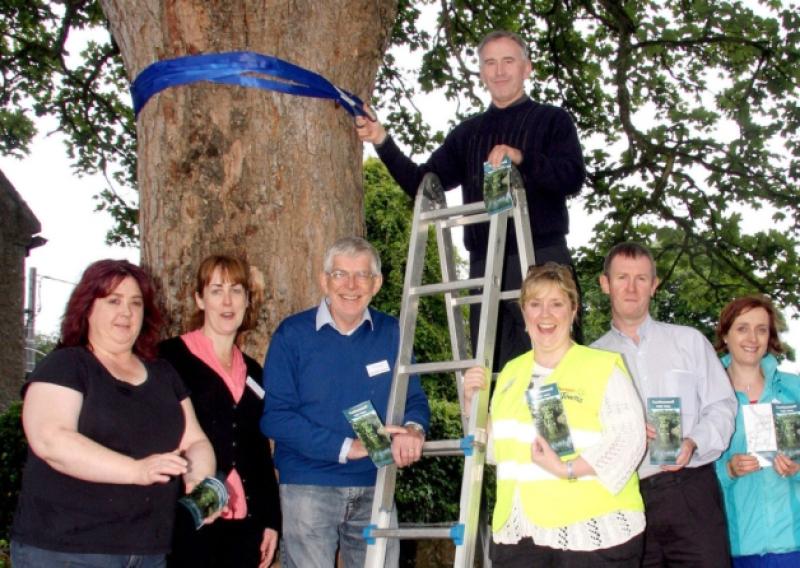 Leaf through new tree trail booklet in Limerick village 