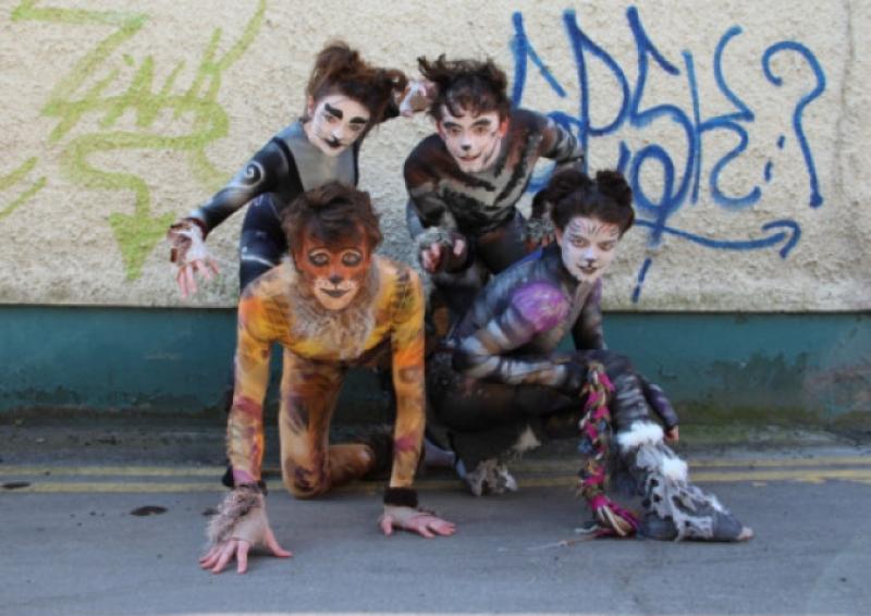 &acirc;&euro;&tilde;Purrfect&acirc;&euro;&trade; musical for Limerick&acirc;&euro;&trade;s Mary I drama soc 