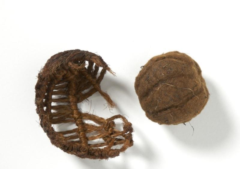 The Athea hurling ball which underwent a CT scan at the hospital in Galway
