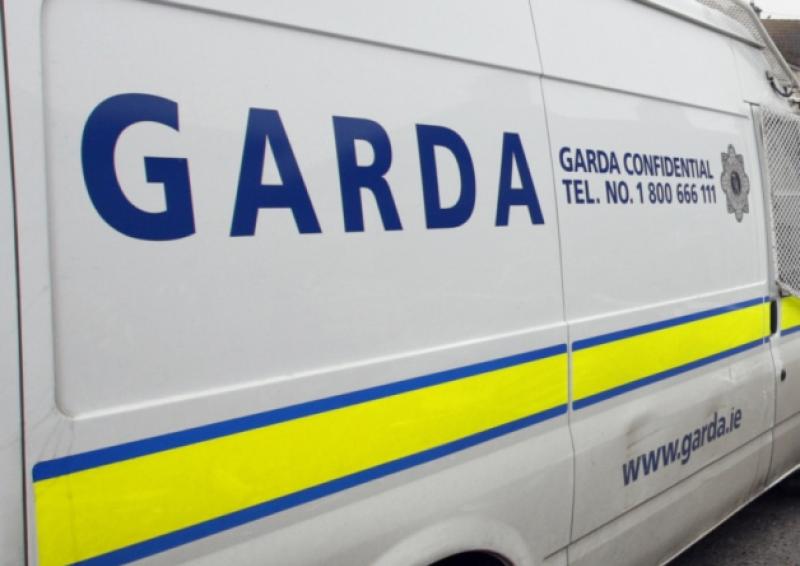 Gardai are investigating the matter