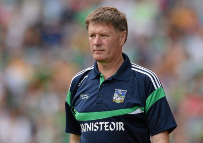 Limerick minor hurling manager Brian Ryan