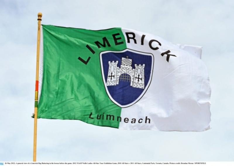 26 May 2012; A general view of a Limerick flag fluttering in the breeze before the game. 2012 TG4/O'Neills Ladies All-Star Tour Exhibition Game, 2010 All Stars v 2011 All Stars, Centennial Park, Toronto, Canada. Picture credit: Brendan Moran / SPORTSFILE
