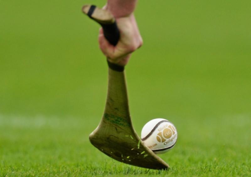 Harty Cup report