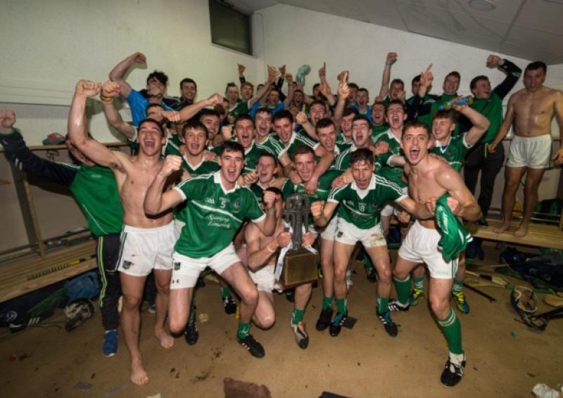 The Limerick team celebrate with the trophy after the game