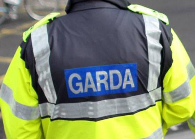 Gardai seized the drugs after stopping and searching a car in Bunratty