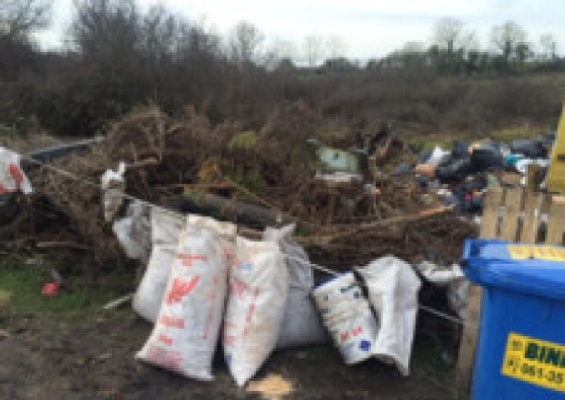 Council urged to use CCTV to fight illegal dumping Limerick Live
