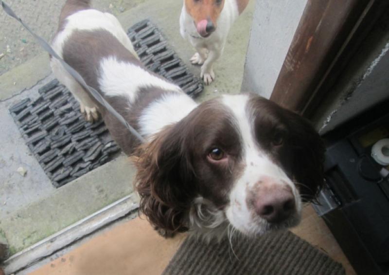 Survivor: Grouse, who swam for his life and escaped a car crash