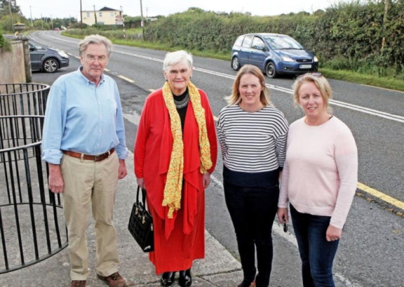 Safety concerns: Kilcornan Community Council members Randal Howlett, May Quilty, Eden Dore and Gillian Downes at the entrance to the community centre [Picture: Dave Gaynor]