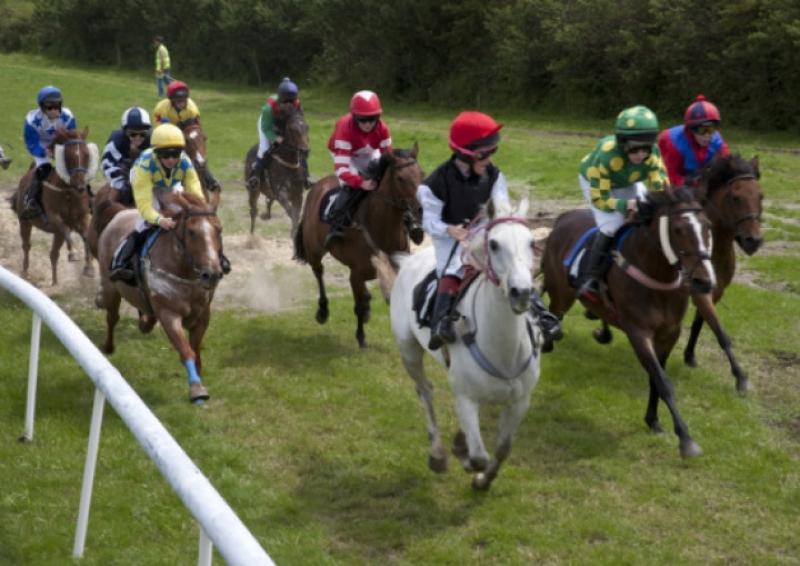 Action at a previous meeting of Abbeyfeale Races. Picture: Stephen Power