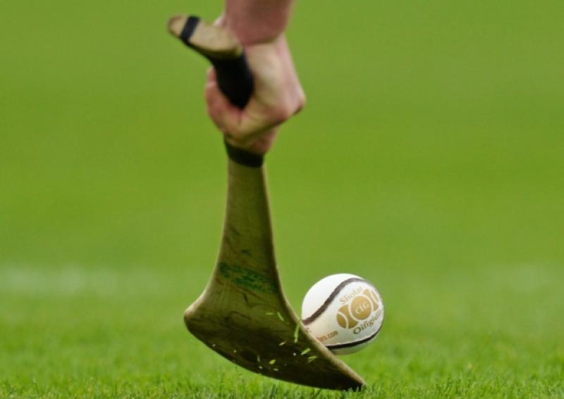 Harty Cup report