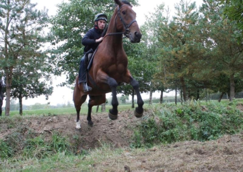 Mourners have paid their respects to jockey Ryan Cusack