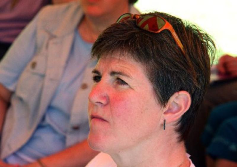 Limerick vet speaks at US conference on greyhound welfare 