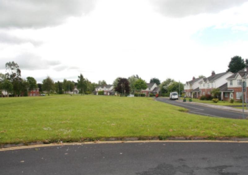 College Court, Castletroy  [Picture: Adrian Butler]