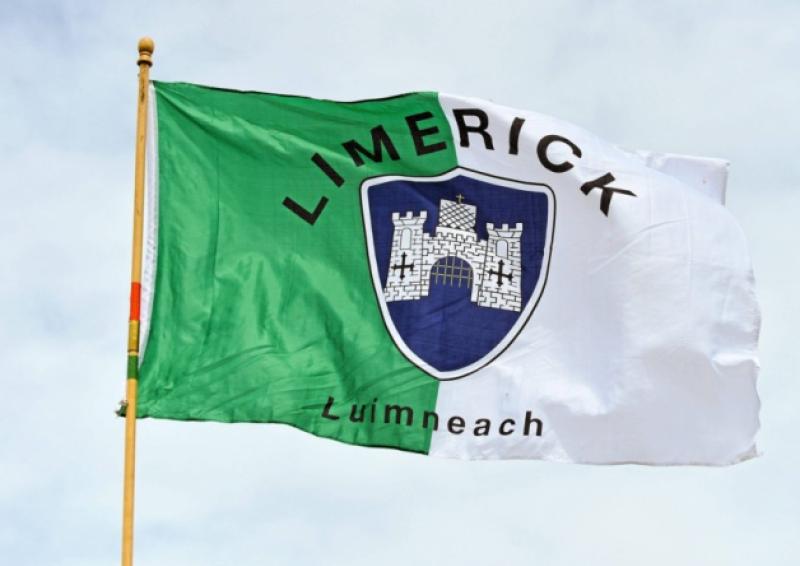 Limerick GAA Weekly Fixtures