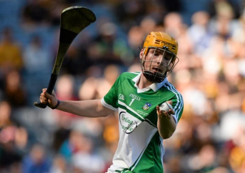 Limerick captain Eoghan McNamara