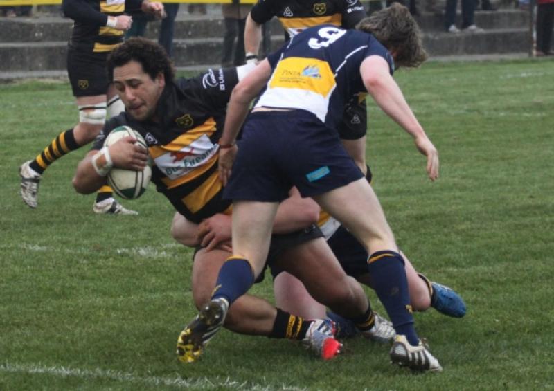 Young Munster centre Kolio Hifo was in try-scoring form in his side's impressive AIL Division 1A win over Dolphin at Clifford Park last weekend