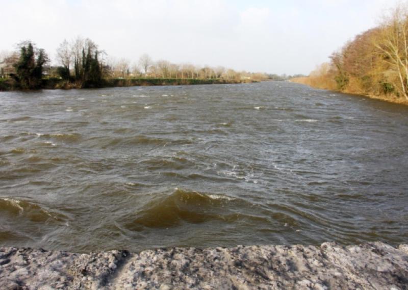 The local authority is investigating a water pollution incident in the Drumcamogue river, a tributary of the Camogue , which itself is a tributary of the Maigue river, which flows through Adare