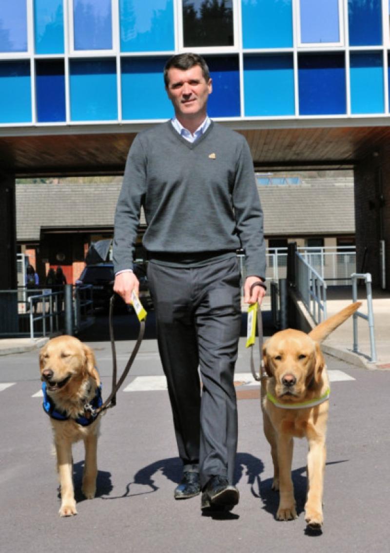 Shades advocate Roy Keane