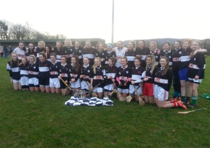Doon's Scoil na Trionoide Naofa senior camogie panel
