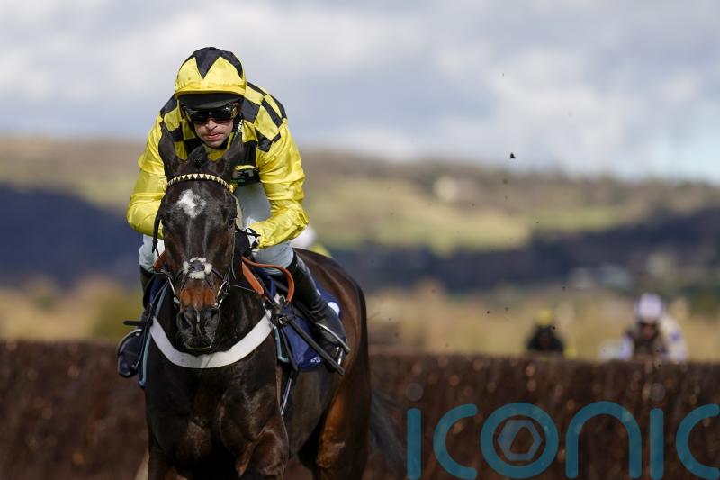 Shishkin poised to begin Champion Chase build up