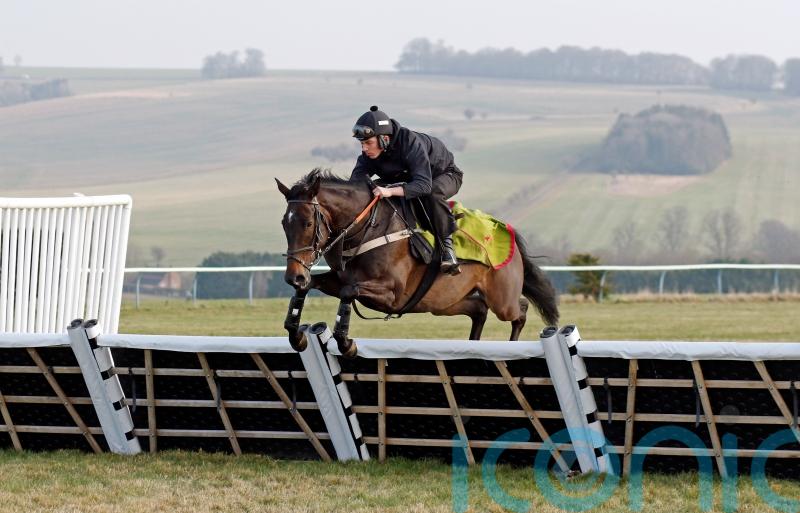 All change for look of hurdles and fences after welfare study
