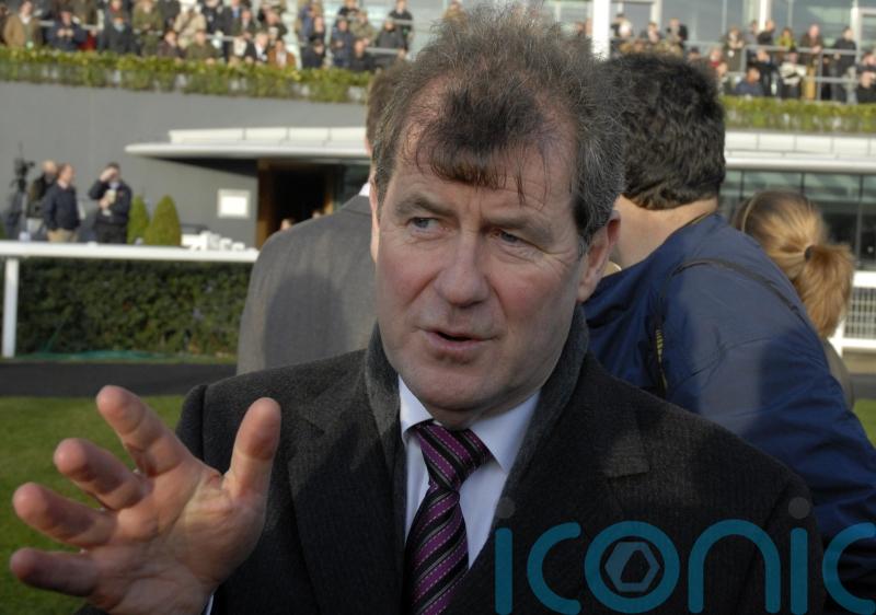 National purchase Enjoy D’allen ticks the boxes for McManus