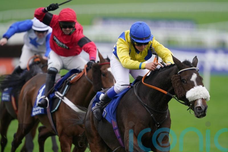 Nervous Cheltenham wait for connections of Kansas City Chief