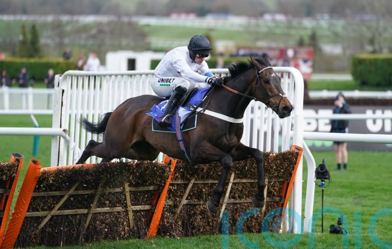 Constitution Hill simply supreme for Henderson in Cheltenham opener