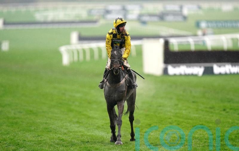 Ground woe for Shishkin and Henderson at Cheltenham