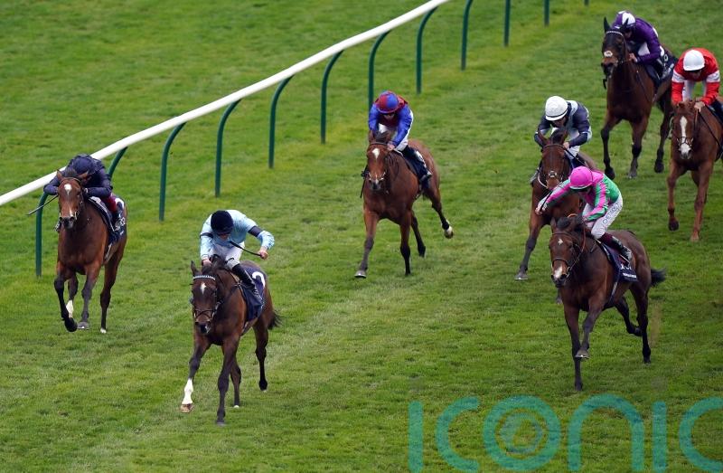 Irish Guineas a possibility for Prosperous Voyage, trainer confirms