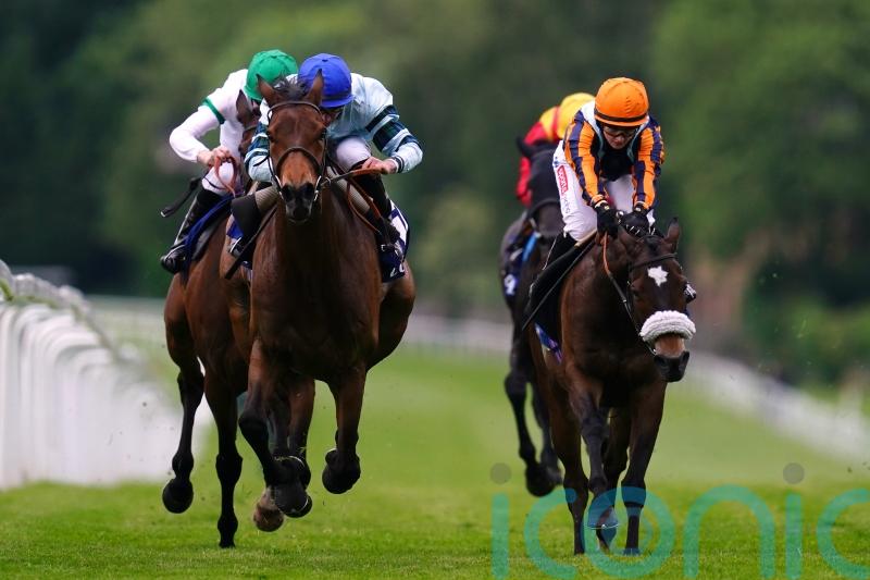 Quickthorn not for passing in Henry II Stakes