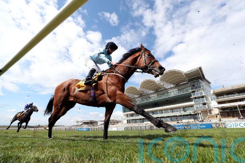Gold Cup bid ruled out for Thunderous