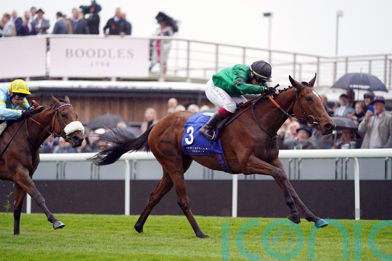Absolutelyflawless firmly in trophy hunt at Beverley