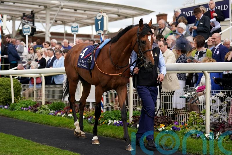 Ferguson retains El Bodegon faith ahead of French Derby bid