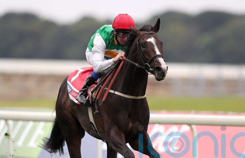 Pyledriver ‘in the right place’ for Coronation Cup repeat