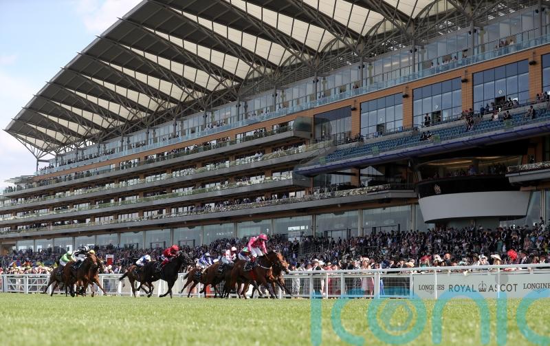 Sprinting big guns all set for King’s Stand showdown