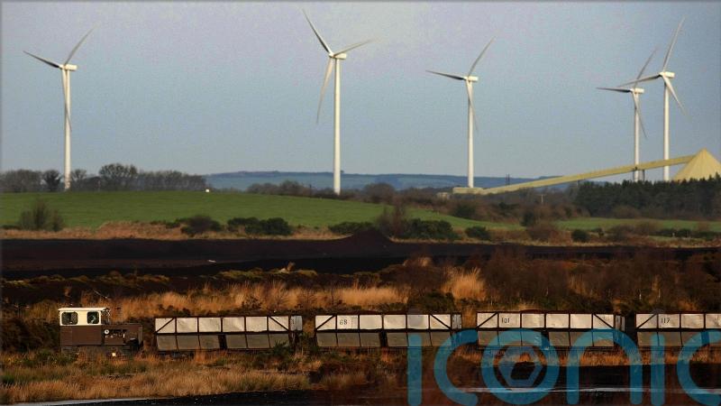 ‘New era’ needed to protect biodiversity across island of Ireland – Taoiseach
