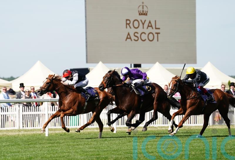 Kyprios is Gold Cup king as gallant Stradivarius goes down fighting