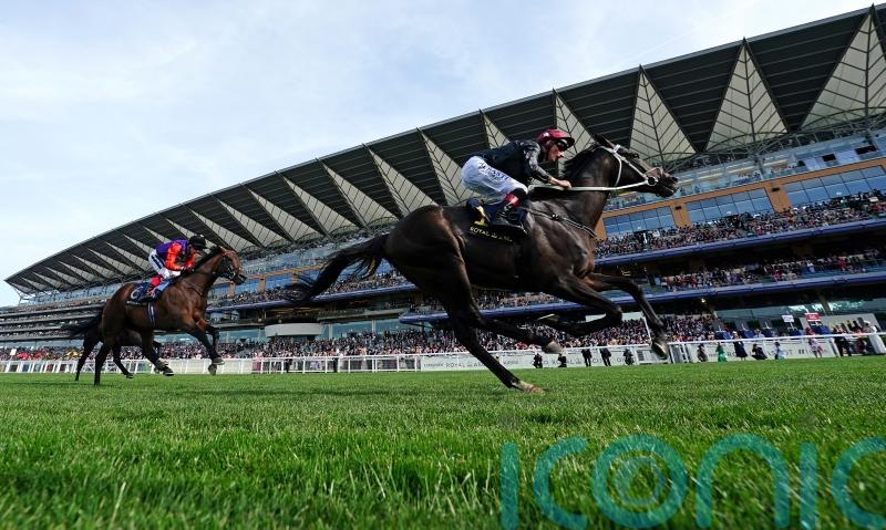Reach For The Moon and Saga close to famous victories for the Queen